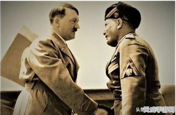 游戏王决斗链接大赛，月光卡组构建全攻略与高效抽包秘籍
