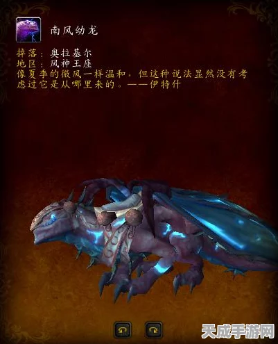 魔兽世界，解锁珍稀火山石幼龙坐骑，详尽攻略大揭秘