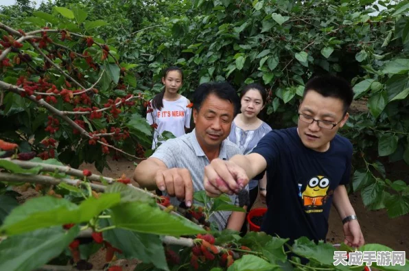 饥荒千年狐升级全攻略，解锁强大能力的秘密路径