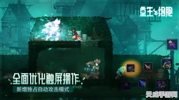 重生细胞王后与海，揭秘二次探索的绝密路径