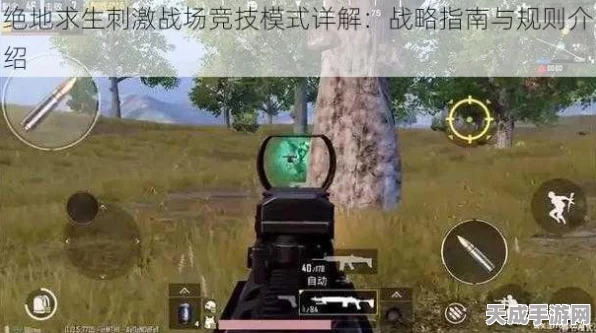 揭秘刺激战场竞技模式，规则详解与实战攻略