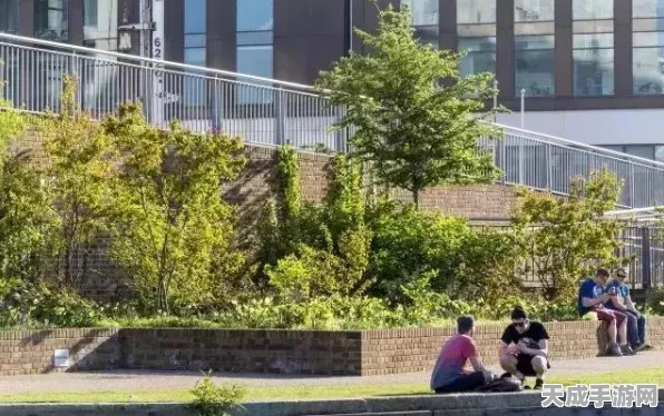 探秘辐射4隐藏奇景，奇葩酒吧全揭秘及最新动态