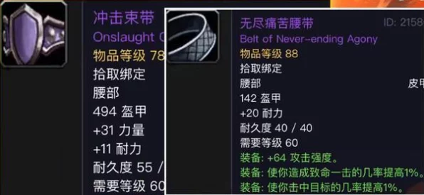 魔兽世界怀旧服珍稀装备揭秘，怒风肩甲全面解析与实战应用