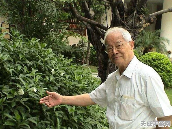 功夫熊猫体力爆棚秘诀，揭秘独家训练与养生秘籍，赛场风采再升级