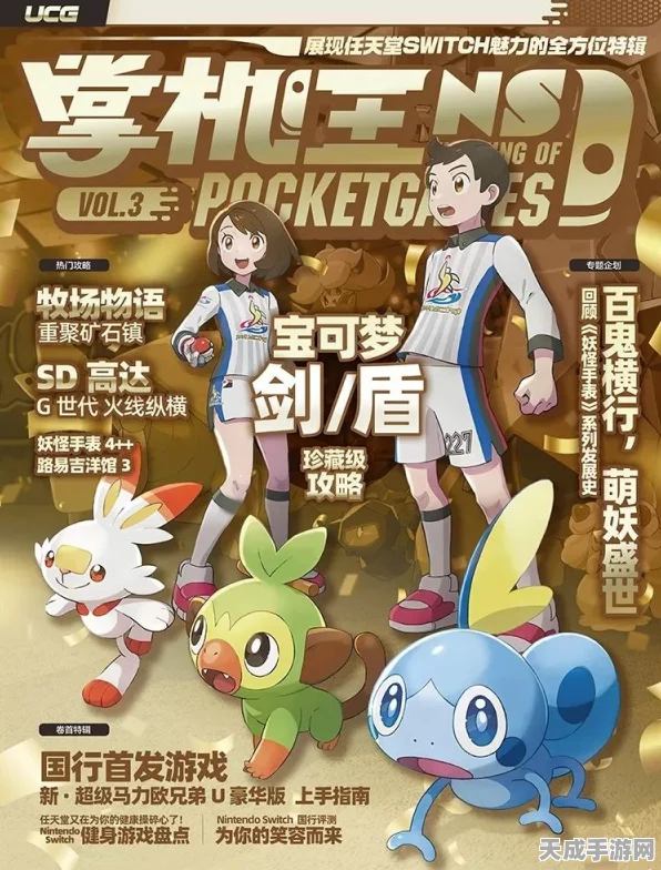 宝可梦剑盾时间调整秘籍，轻松玩转游戏时间，解锁隐藏乐趣！