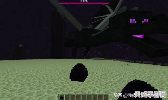 手机版我的世界，揭秘末影龙蛋的孵化奥秘与技巧