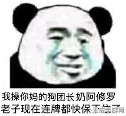DNF手游致歉风波，深度剖析玩家反馈与BUG修复进展