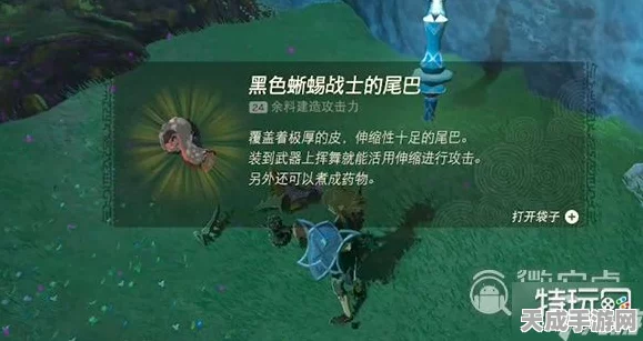 塞尔达传说王国之泪，喷火蜥蜴战士犄角高效获取攻略，助你征服海拉鲁！