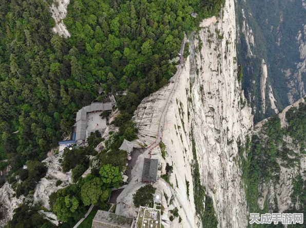 剑侠情缘手游华山论剑深度攻略，解锁顶级同伴搭配与盟主战抢分绝技