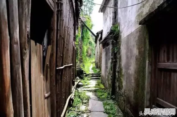 地下城堡3秘境探险，揭秘7号小巷通关秘籍