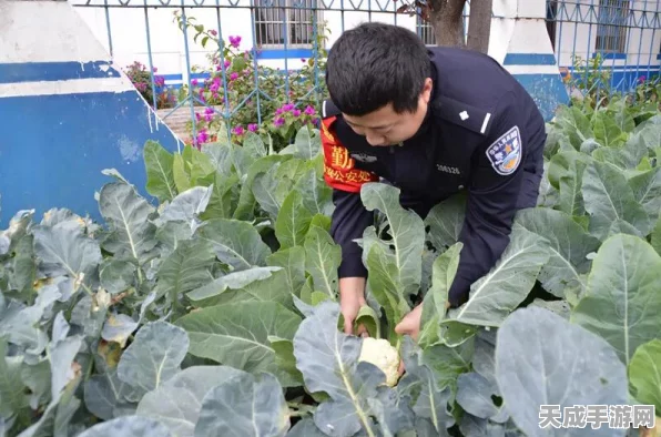 DNF诱魔者传说装备搭配指南，解锁极致战斗力的秘密！