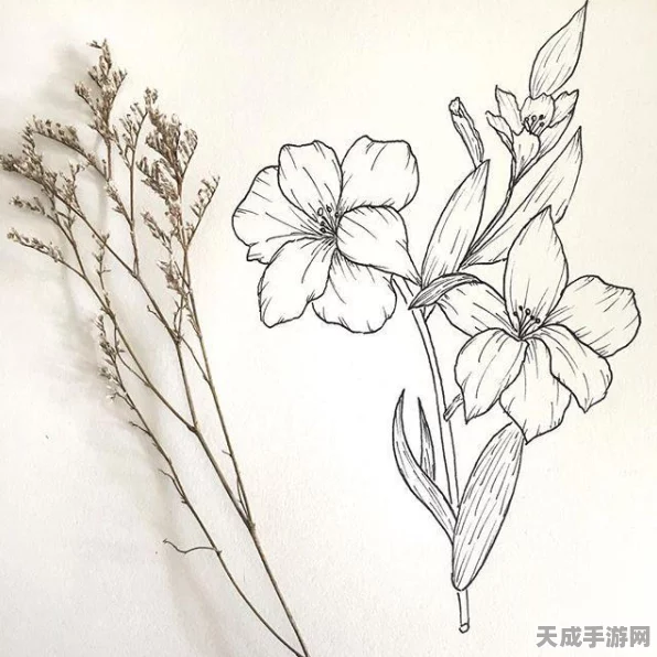 爱笔思画X上色技巧揭秘，轻松掌握不覆盖线稿的艺术