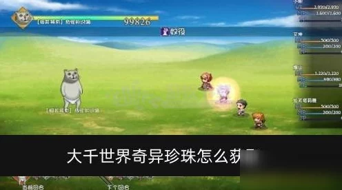 探秘大千世界，奇怪知识猫全攻略，稀有掉落一网打尽