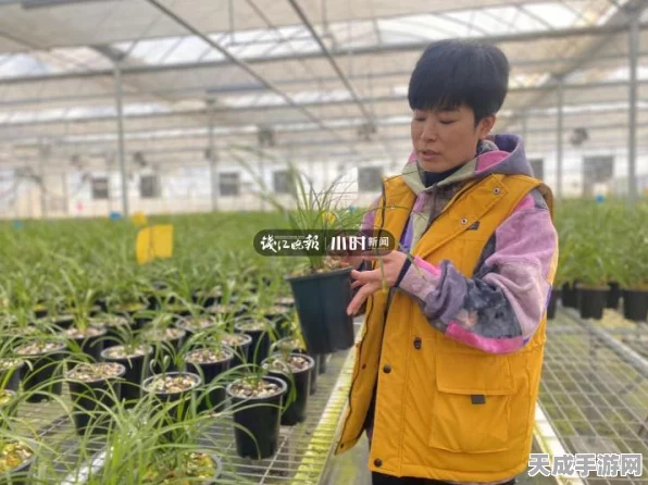 我的世界中国版，揭秘干草块的多样用途与创意玩法