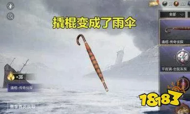 和平精英撬棍雨伞皮肤终极获取秘籍，解锁稀有装扮的每一步