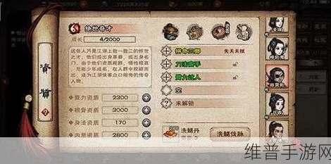 烟雨江湖深度攻略，解锁经脉选择的奥秘与实战技巧