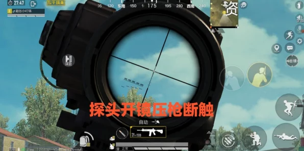 和平精英战术揭秘，探头蹲行能否隐匿行踪？