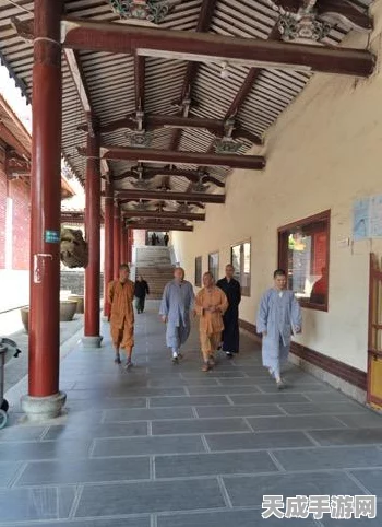 FGO深度剖析，梅林——时代之巅的全能辅助，技能与战略详解