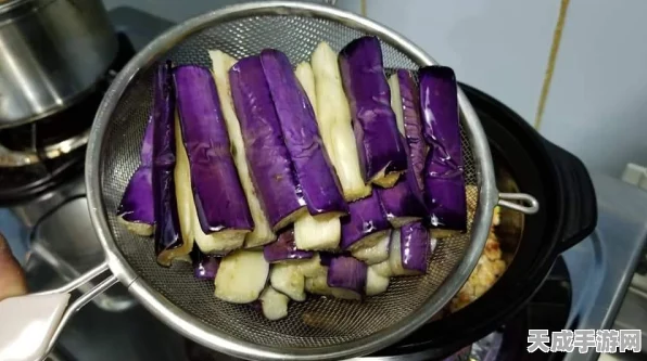 咸鱼之王紫色碎片深度攻略，解锁高效利用策略，升级游戏体验秘籍