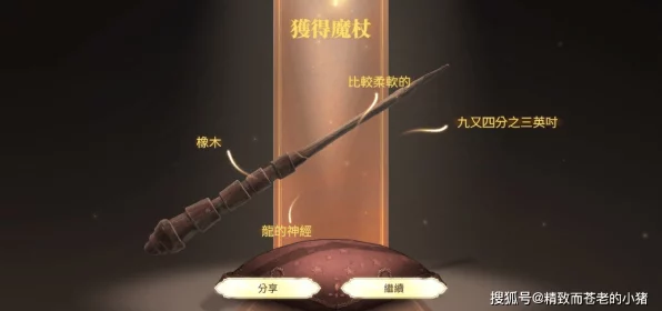 哈利波特手游深度攻略，解锁魔杖潜能，揭秘魔法战斗必胜策略