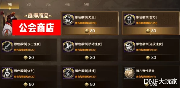 DNF手游公会勋章属性优化全攻略，解锁隐藏战力，打造顶级公会！