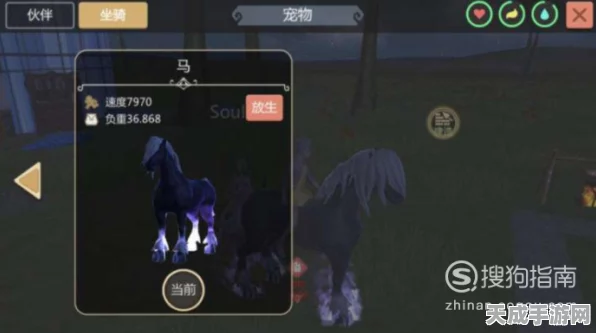 创造与魔法深度攻略，揭秘黑马饲料的制作秘籍