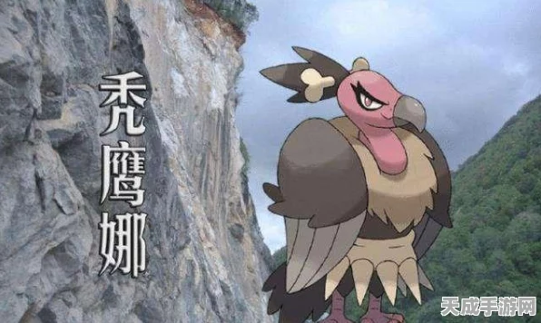 宝可梦大探险深度解析，装饰物对探险影响几何？全面揭秘无装饰玩法挑战
