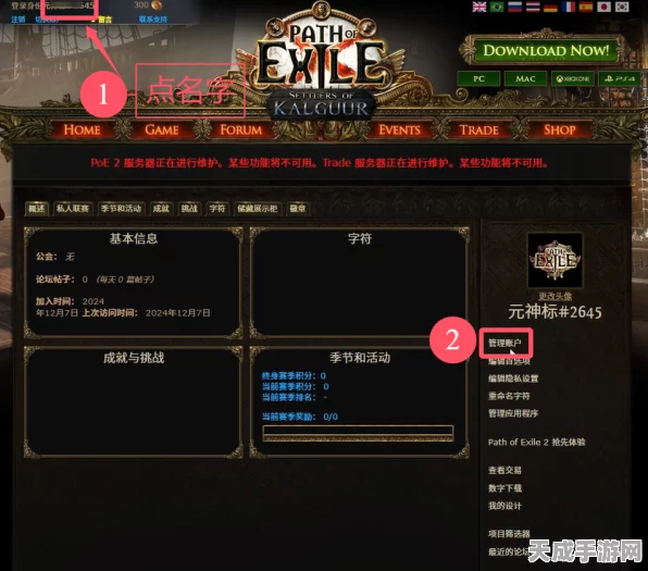 流放之路国际服Steam账号迁移全攻略，详解换绑步骤与最新赛事动态
