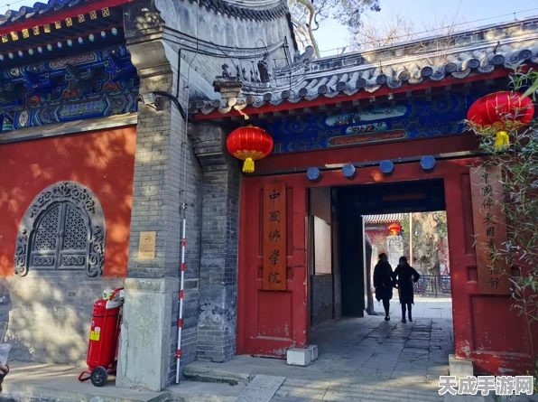 魔兽世界新冒险，漫游古树探秘大赛燃情开启