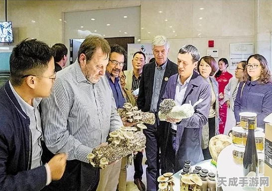 三国杀OL互通版深度解析，如何找到你的专属账号编码，参与精彩赛事！