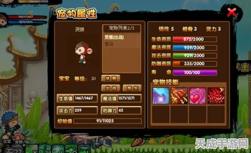 探秘造梦西游3，宠物技能全解析与最新动态