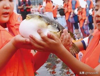 创造与魔法钓鱼大赛来袭，揭秘河豚垂钓秘境，赢取珍稀魔法道具！