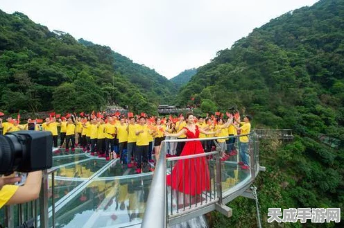 魔兽世界新探险，解锁自然之力，揭秘任务奥秘与竞技盛宴
