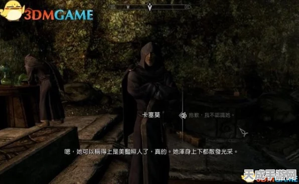 上古卷轴5，天际重制版深度攻略——解锁外交豁免的绝密路径