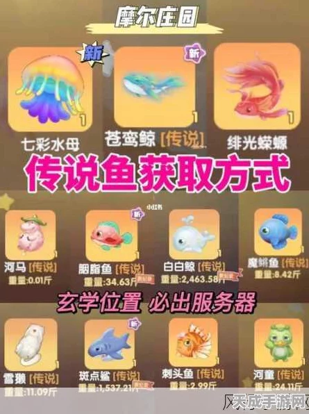 摩尔庄园钓鱼攻略，揭秘胭脂鱼神秘钓点，助你成为钓鱼大师！