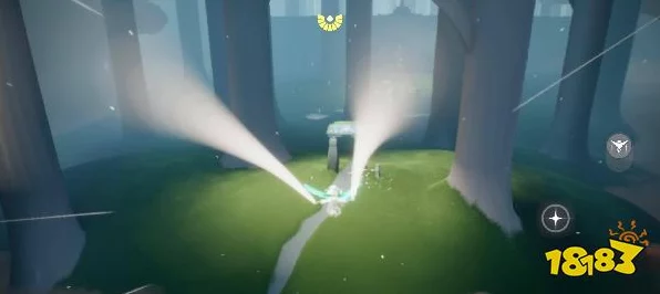 光遇雨林星光追逐赛，揭秘散落星光藏匿点，赢取限定奖励！