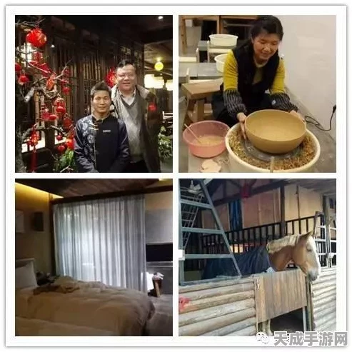 剑网3深度攻略，风雪稻香村秘境任务全解析与实战技巧