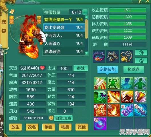 神武烧烤大赛，揭秘冠军烧烤配方搭配技巧与策略