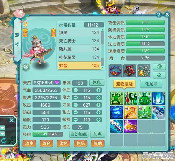 神武烧烤大赛，揭秘冠军烧烤配方搭配技巧与策略