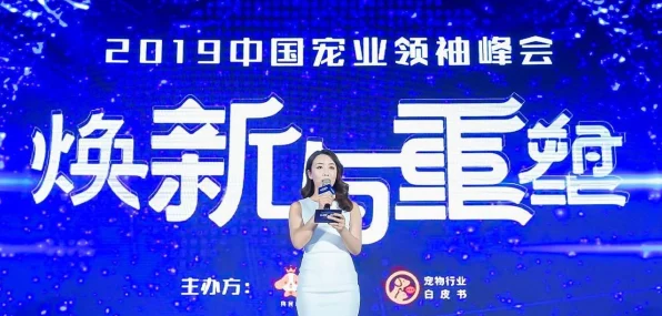 创造与魔法深度解析，铃铛获取攻略及游戏新动向
