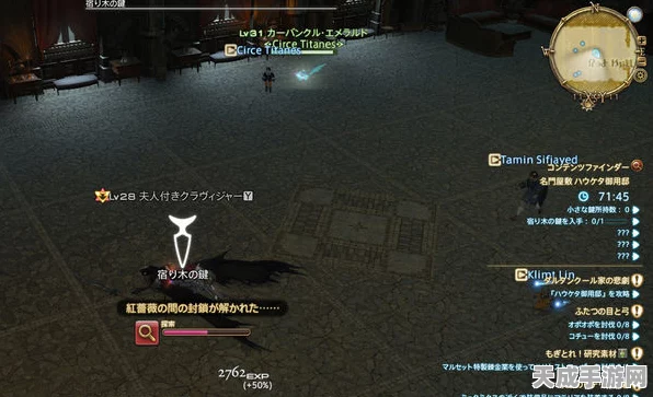 FF14木桩副本全攻略，解锁挑战，提升战斗技巧！