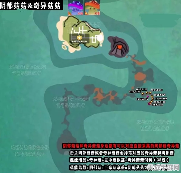 手游新宠，揭秘创造与魔法菇之阴郁模型，独家获取攻略与深度剖析