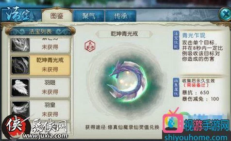 诛仙手游法宝新揭秘，乾坤青光戒技能深度剖析与实战应用