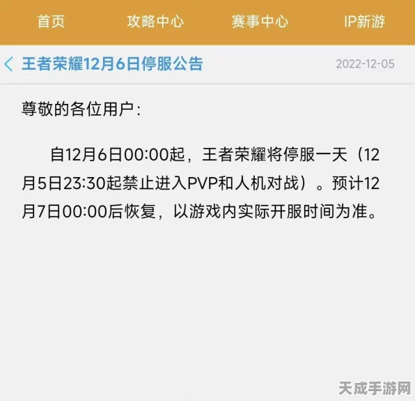 王者荣耀罕见停服背后，重大赛事筹备与致敬英雄之举