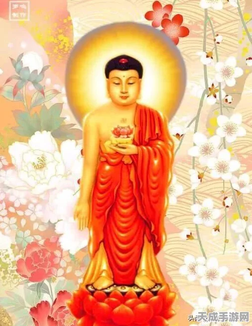 火影忍者手游，金运祈愿屋活动深度解析与惊喜爆料