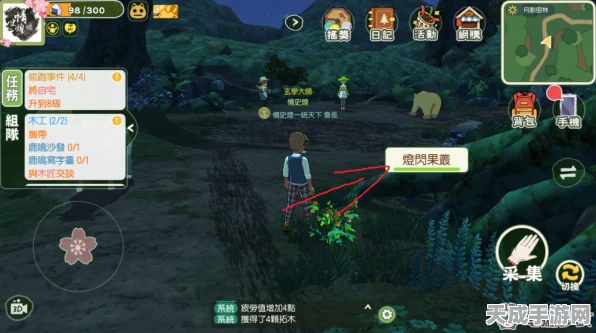小森生活探索指南，揭秘闪光果的珍稀藏匿地