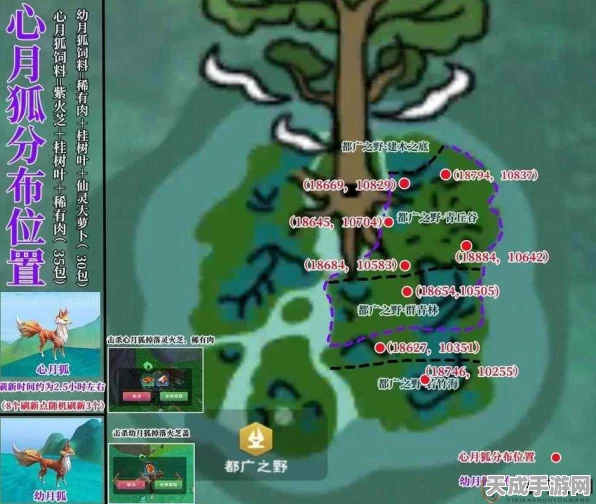 创造与魔法龟壳寻觅指南，解锁稀有材料的高效攻略
