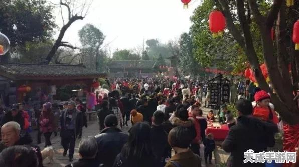 小米8能否畅享云顶之弈？详细解析与最新动态