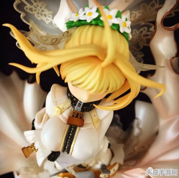 FGO花嫁尼禄技能升级全攻略，解锁材料大揭秘