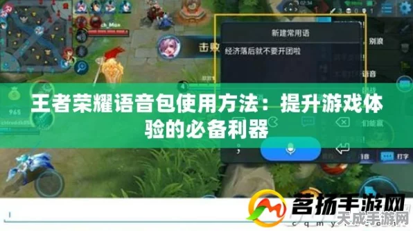 王者荣耀深度探索，个性化语音包设置全攻略及赛事亮点